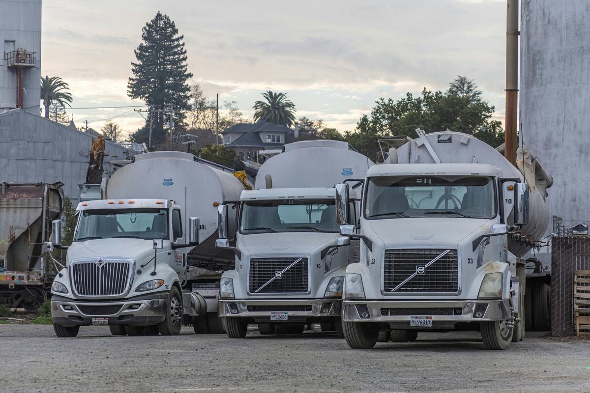 Three white day-cab trucks parked side by side in a gravel yard